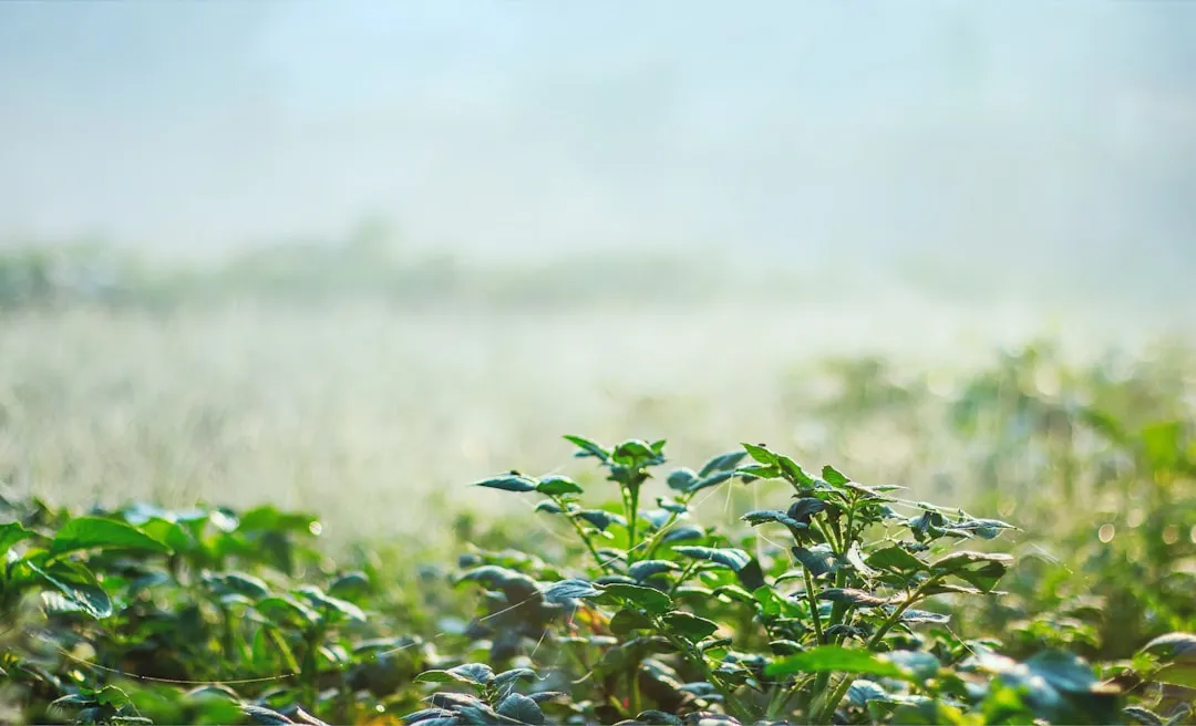 2025年度小微企业代理记账服务模式升级趋势分析